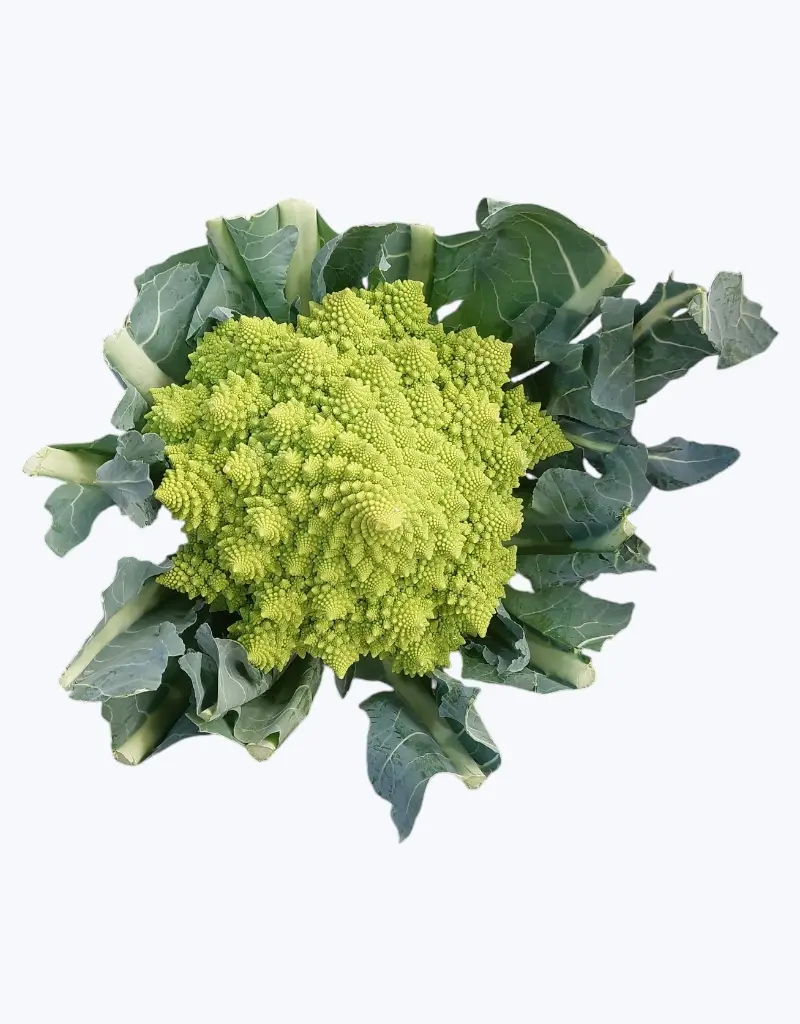 Romanescu_1.webp