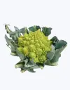 Romanescu_2.webp