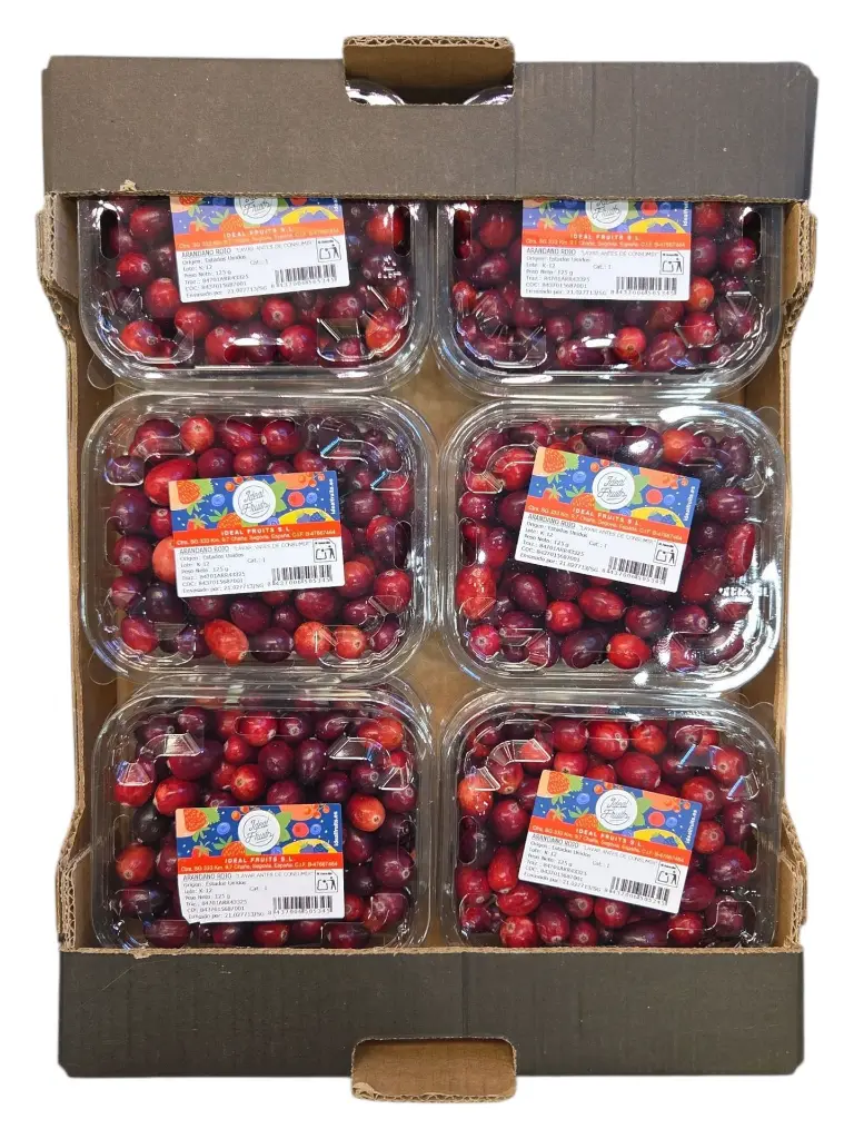 Cranberries-tarrina-125g-TheFruitsOfTheWorld-1.webp