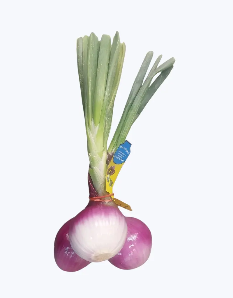 Cebolleta-roja-TheFruitsOfTheWorld.webp