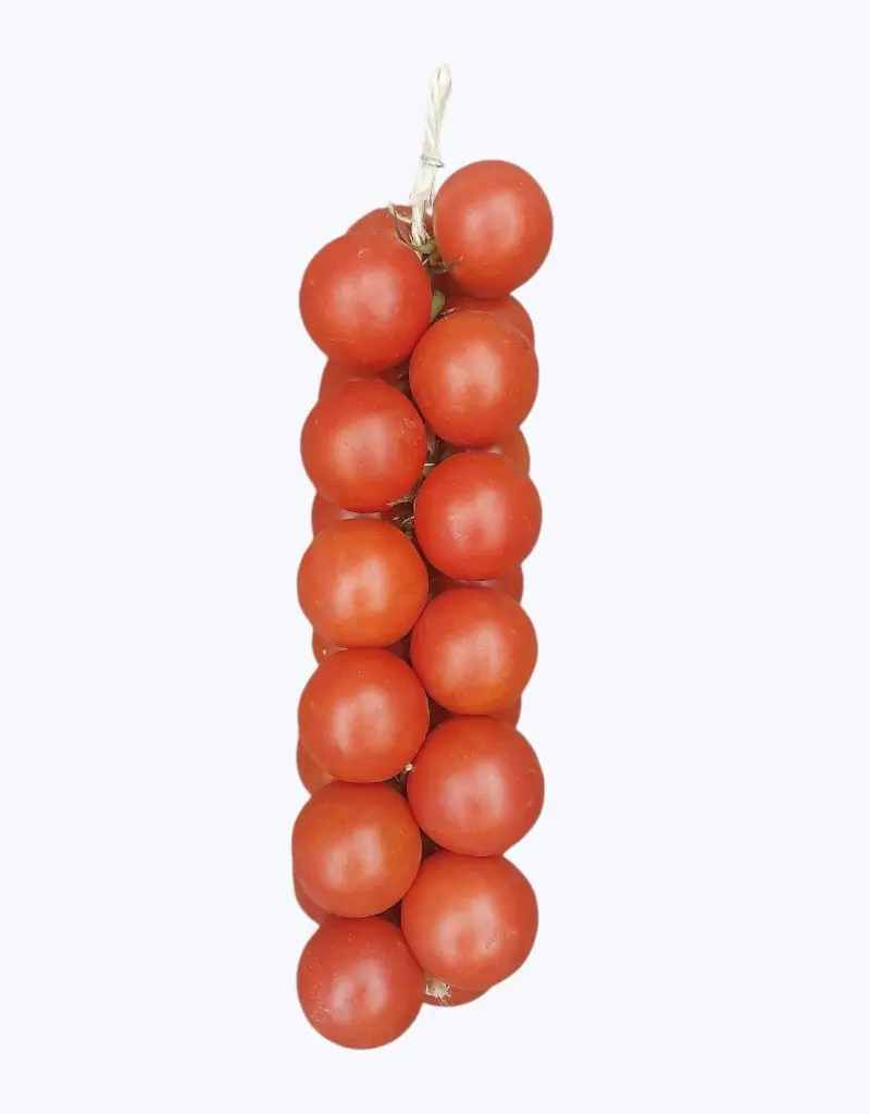 Tomate-de-penjar-TheFruitsOfTheWorld.webp