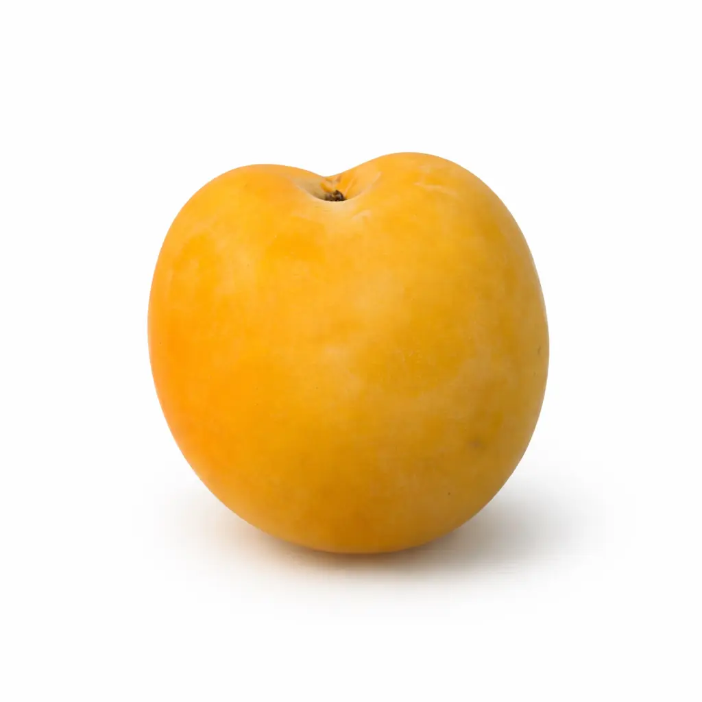 Ciruela Sungold