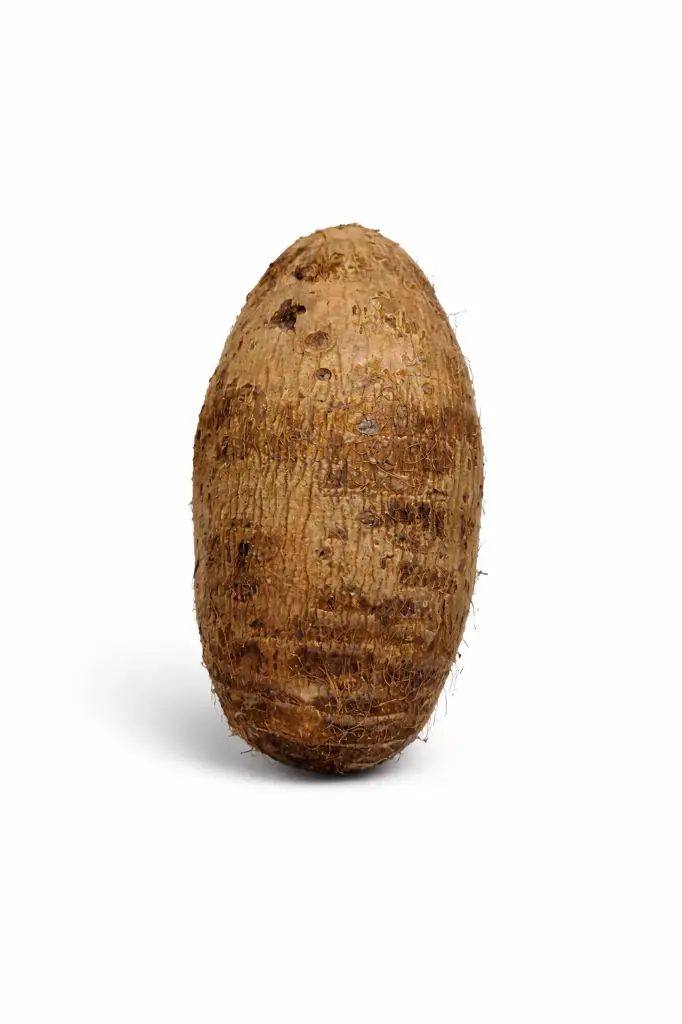 Malanga