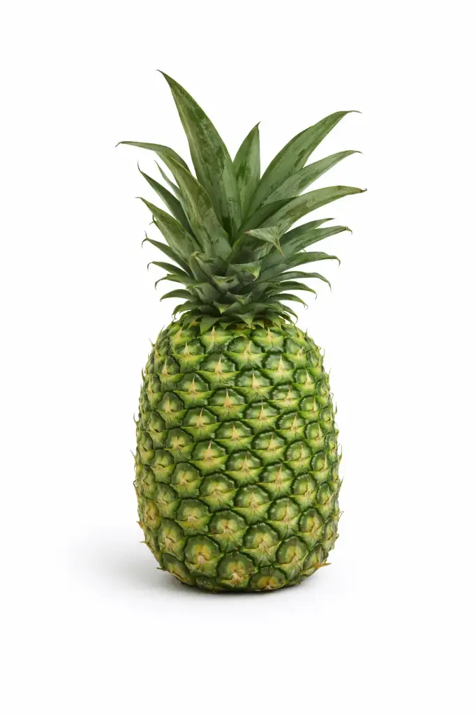 Piña de Barco