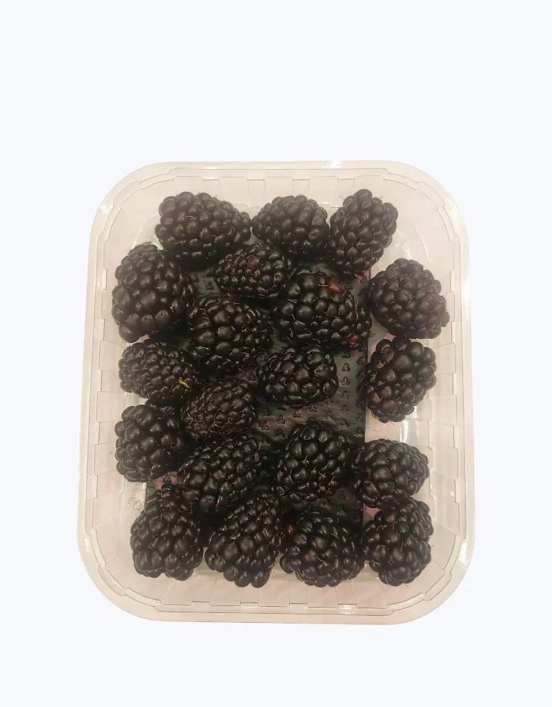 Moras