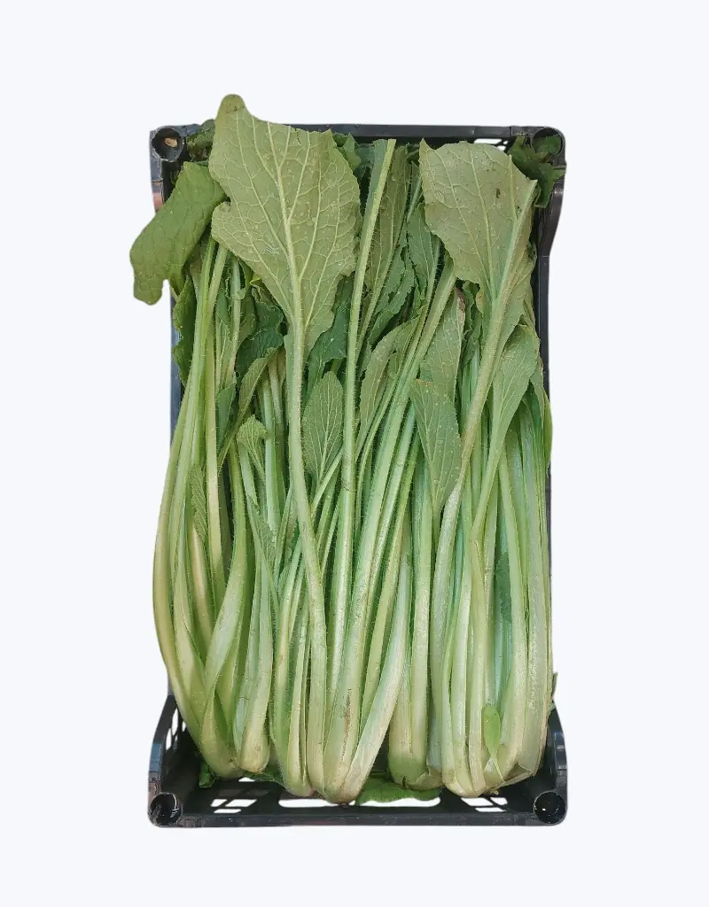 Borraja entera al natural