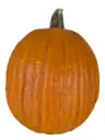 Calabaza halloween