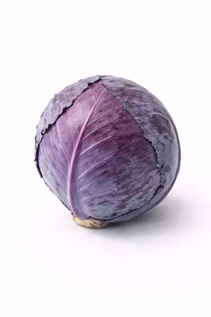 Lombarda