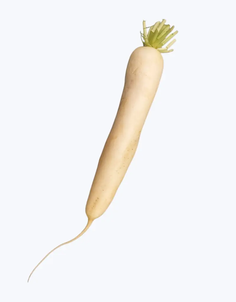 Nabo Daikon