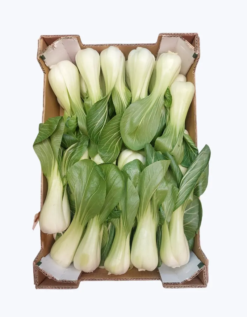 Pak choi