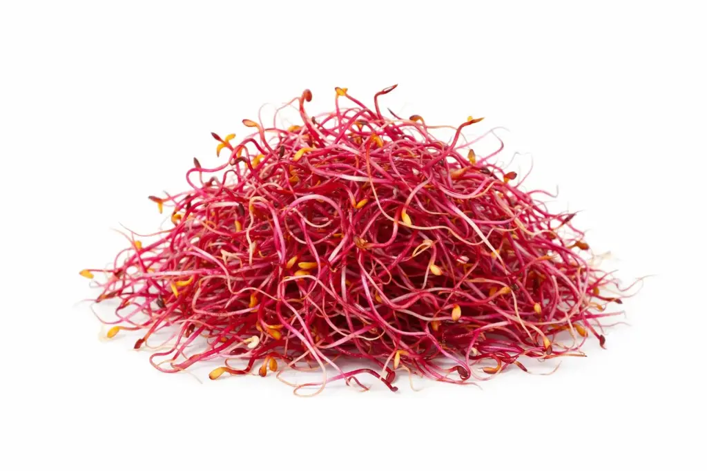 Germinados de Remolacha 50 g