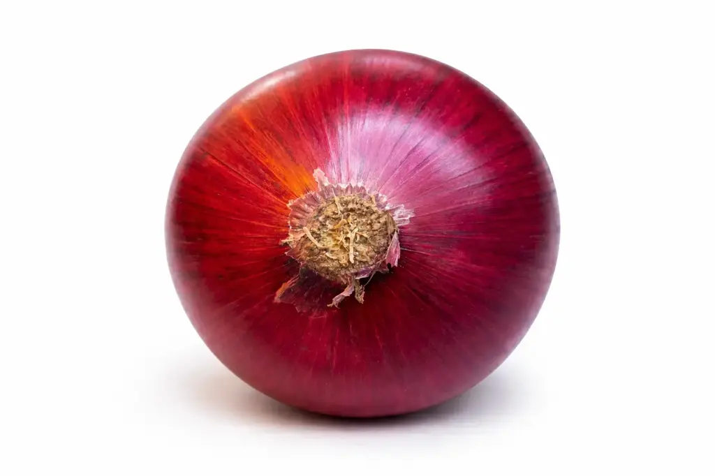 Cebolla Morada