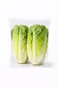 Lechuga Romana
