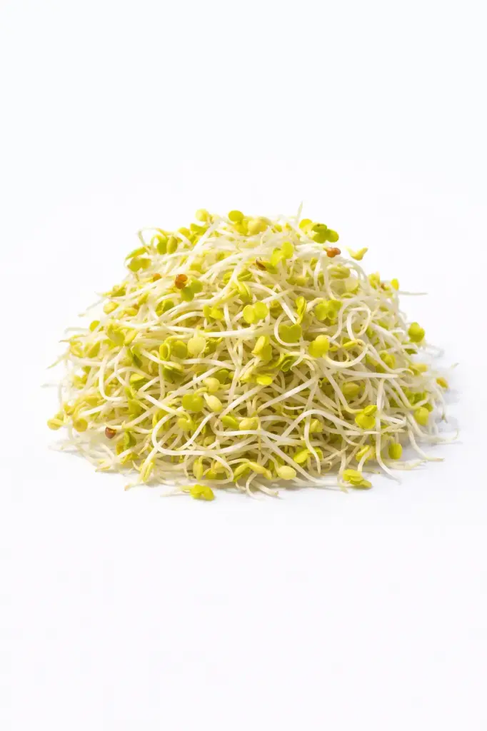 Germinados de Rábano Daikon