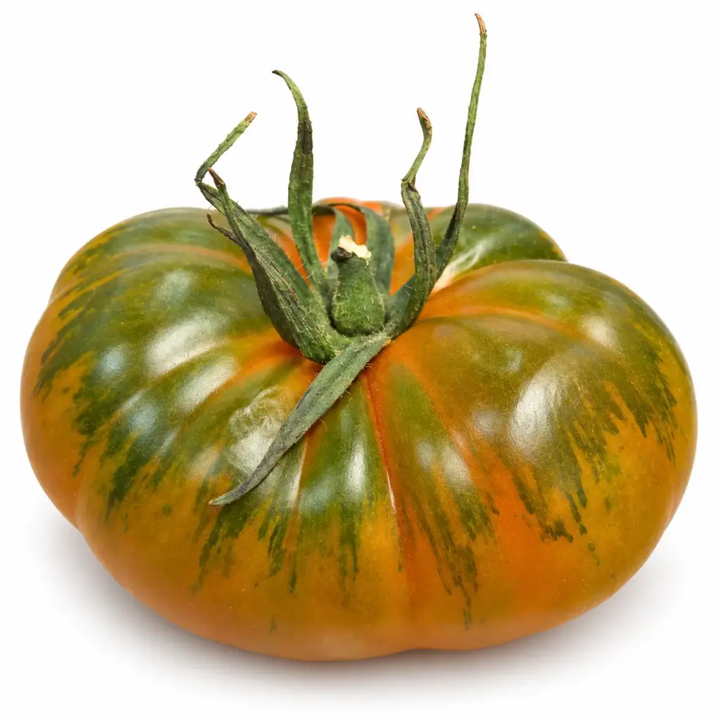Tomate Joselito XXL