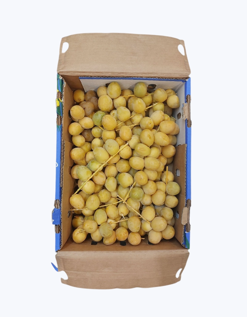 Datil Bahri Natural
