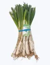 Calcots (copia pruebas)
