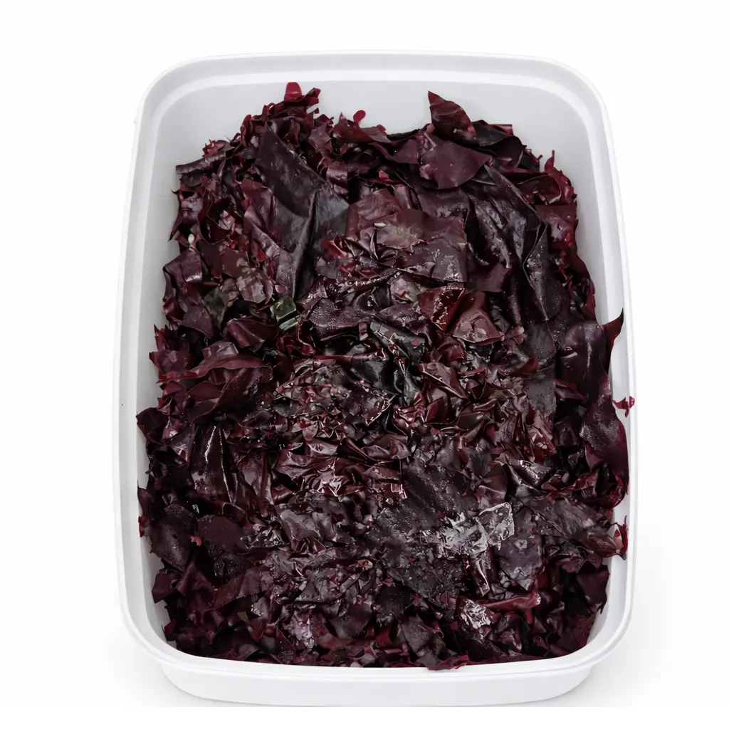 Alga Dulse salada Bio