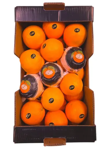 [1000037] Naranja de mesa extra