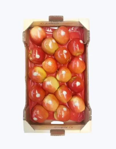 [1000063] Manzana ambrosia