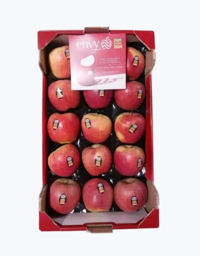 [1000065] Manzana envy