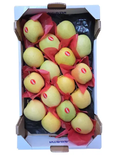 [1000309] Manzana Golden España