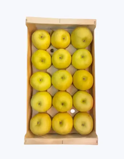 [1000085] Manzana reineta