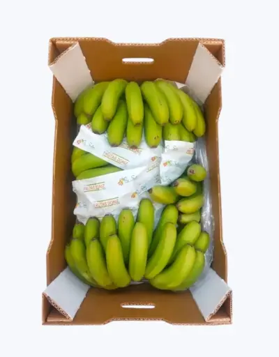 [1000113] Platano de canarias