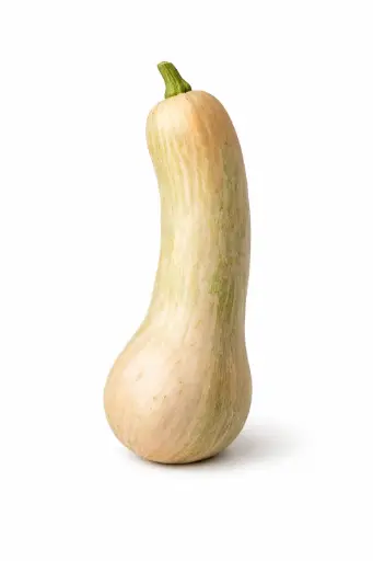 [1001107] Calabaza Carruecano