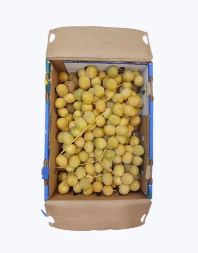 [1000052] Datil Bahri Natural