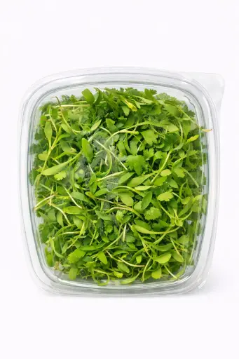 [1000829] Micro Cilantro