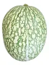 Calabaza-cabello-de-angel-TheFruitsOfTheWorld-2.webp