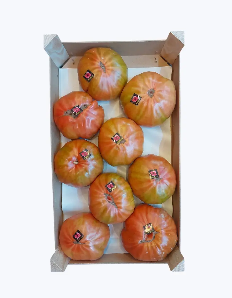 Tomate_rosa_de_barbastro_1.webp