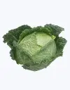 Repollo_normal_2.webp
