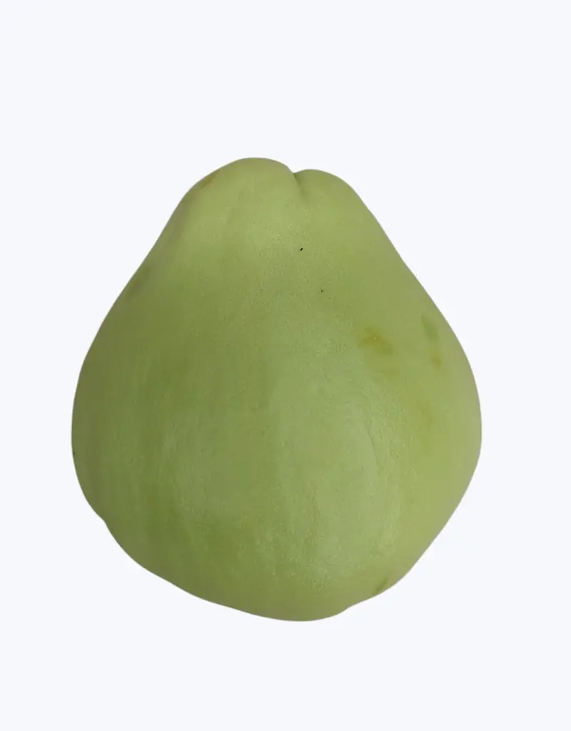 Chayote_1.webp