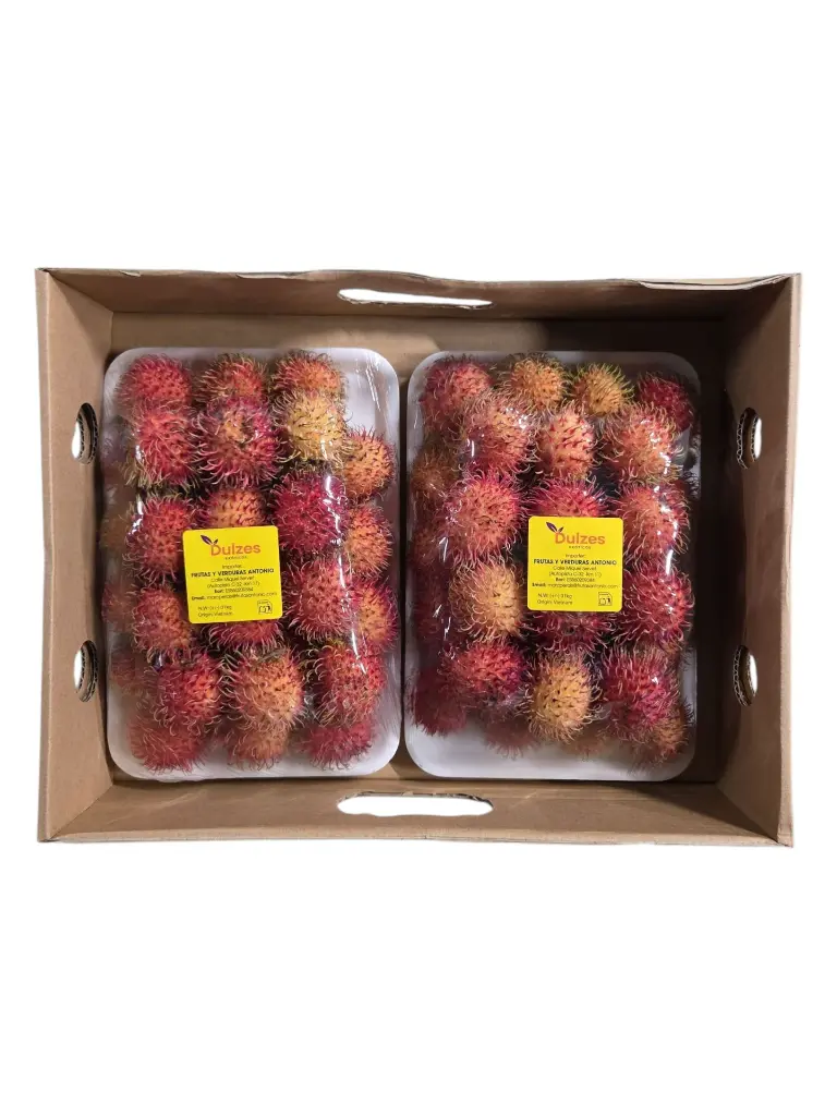 Rambutan-TheFruitsOfTheWorld-1.webp