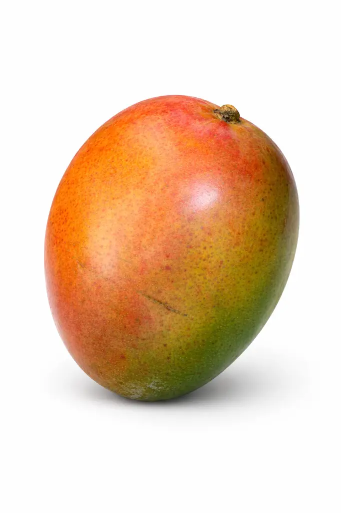 Mango-keitt-TheFruitsOfTheWorld .webp