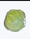 Lechuga_iceberg_1.webp