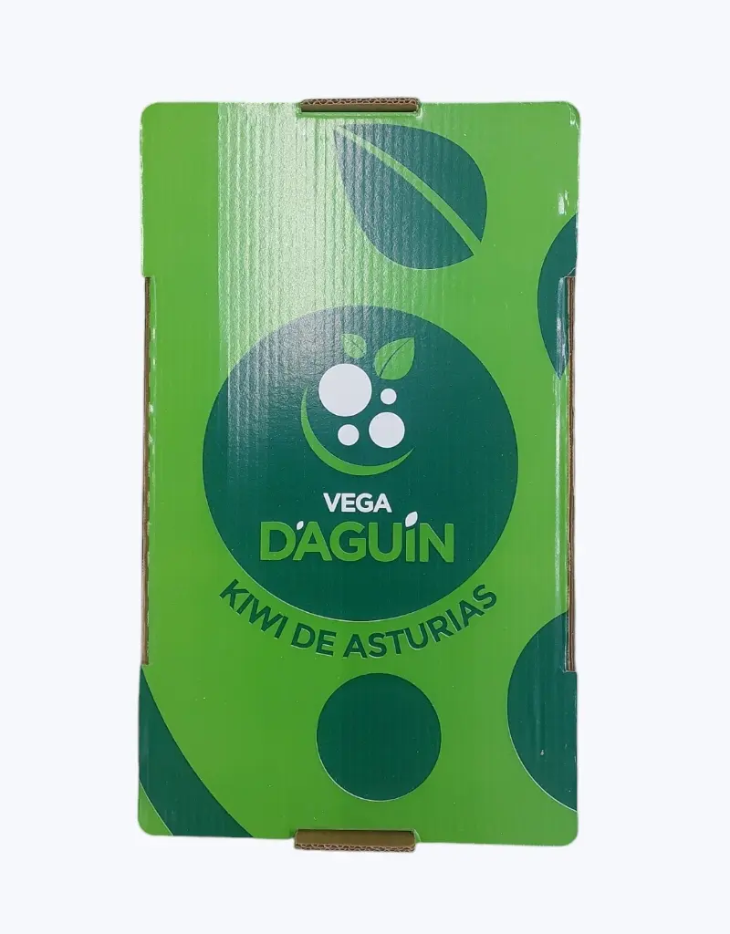 Kiwi-verde-iberico-1.webp