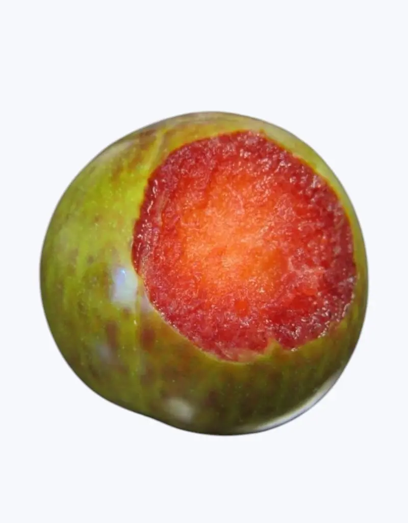 Ciruela-roja-1.webp