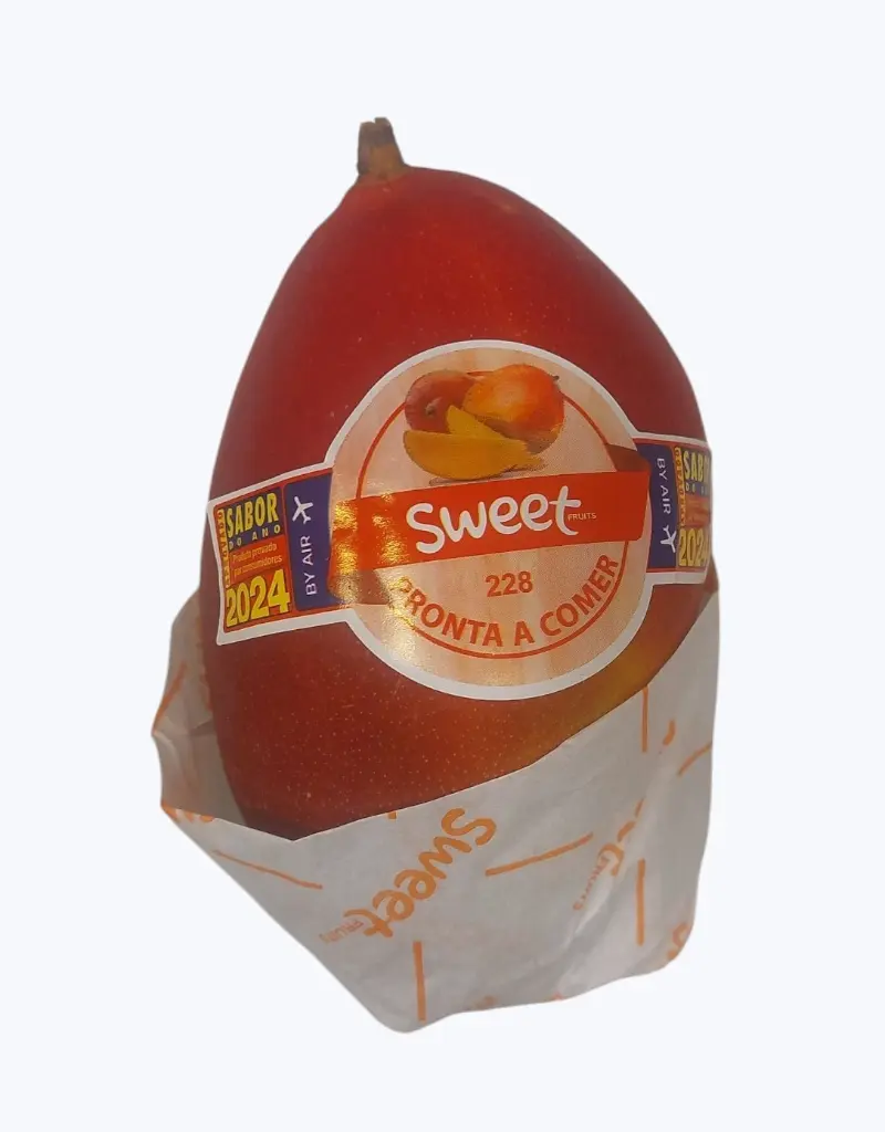 Mango-palmer-3.webp