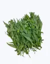 Estragon-thefruitsoftheworld-1.webp