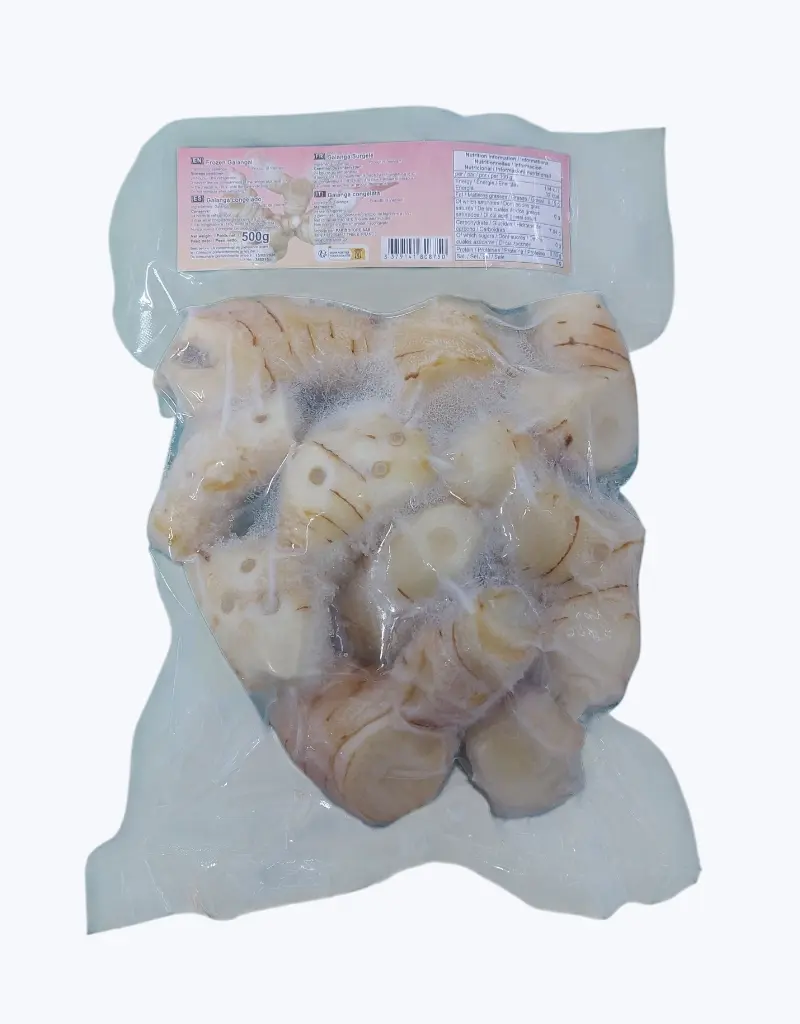 Galangal-500g-thefruitsoftheworld-1.webp
