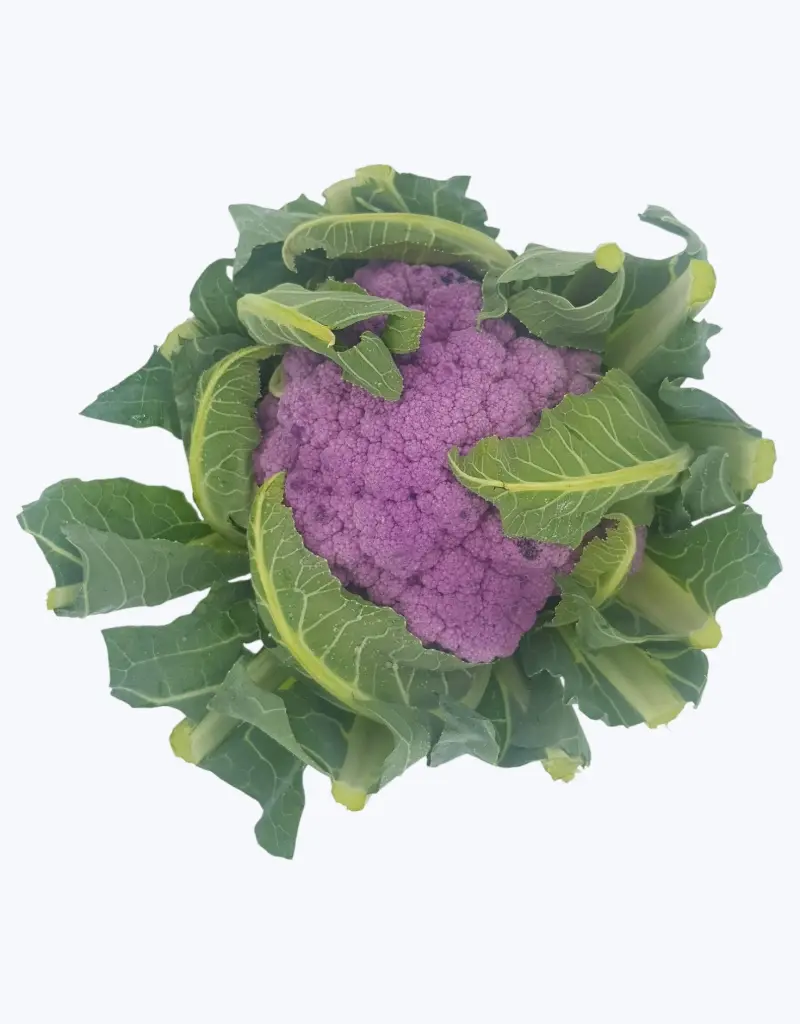 Coliflor-morada-1.webp