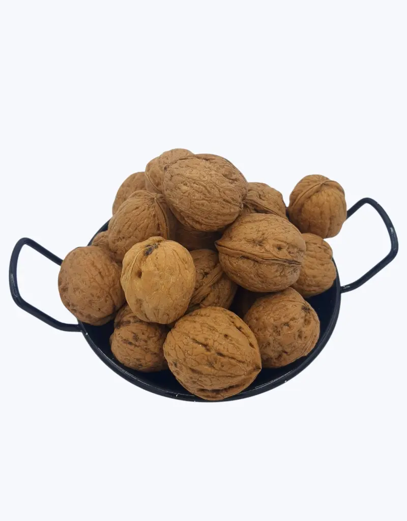 Nuez-con-cascara-TheFruitsOfTheWorld-1.webp