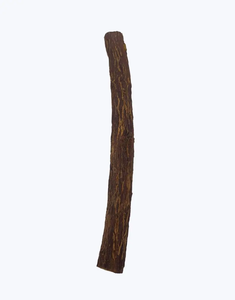 Palolu-TheFruitsOfTheWorld-2.webp
