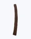 Palolu-TheFruitsOfTheWorld-2.webp