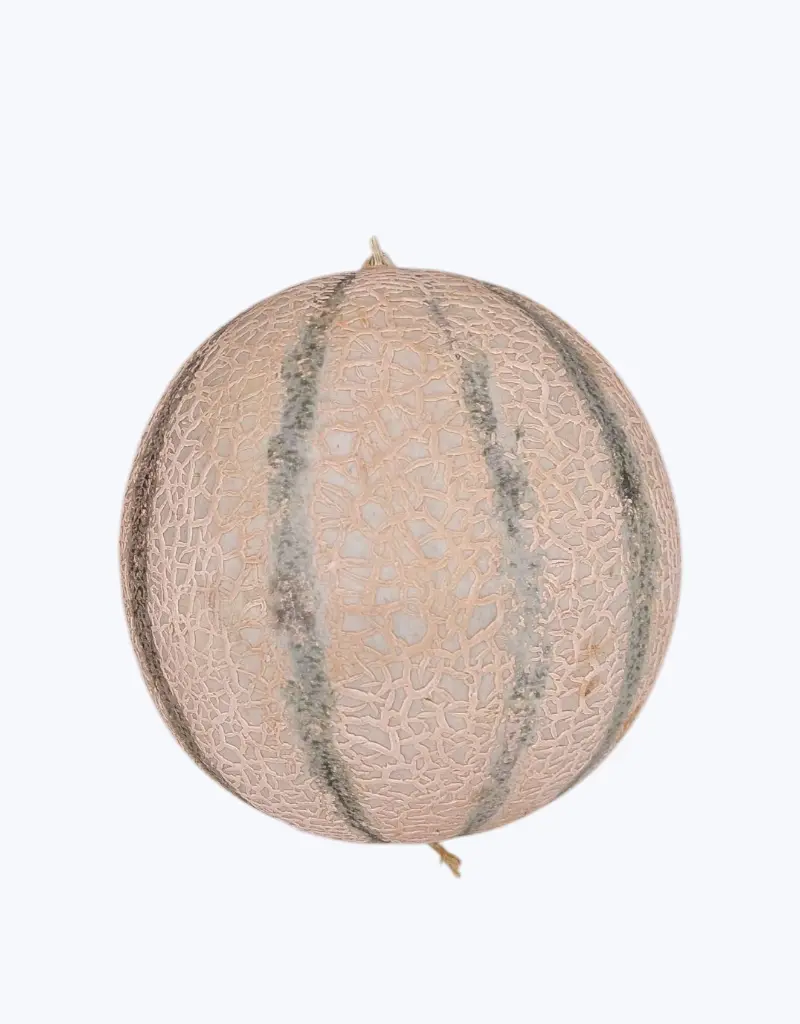 Melon-charente-TheFruitsOfTheWorld-2.webp