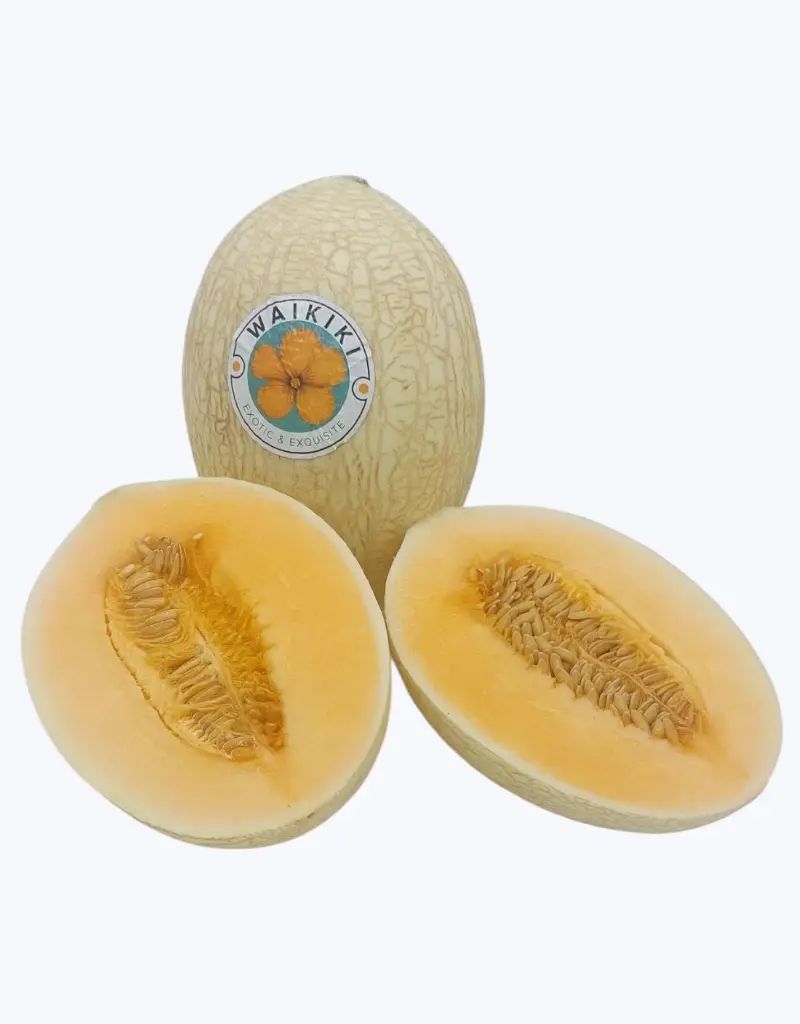 Melon-waikiki-TheFruitsOfTheWorld-1.webp