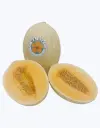 Melon-waikiki-TheFruitsOfTheWorld-1.webp